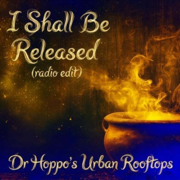 Cover art for I Shall Be Released (Radio Edit)